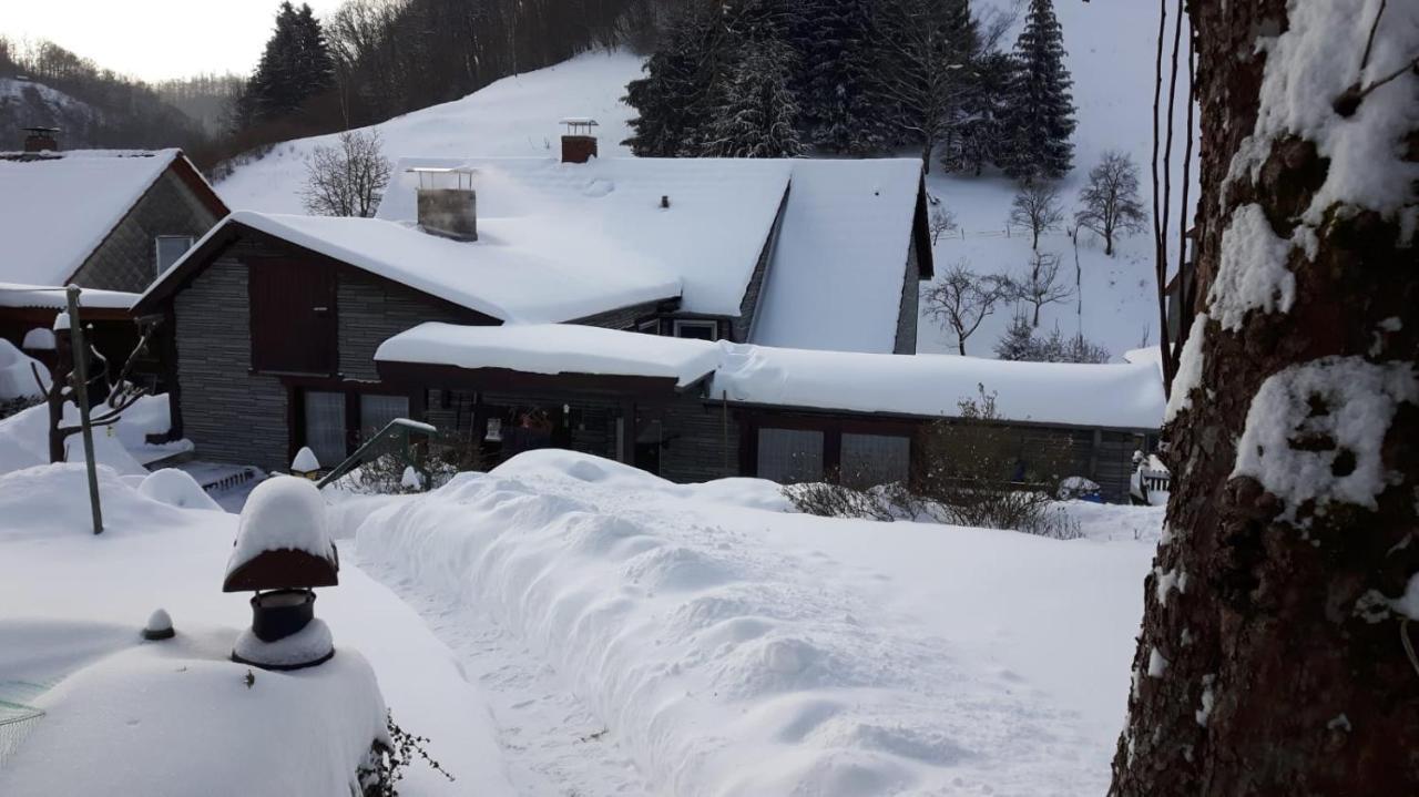 Haus Wiesenblick Walkenried Екстериор снимка